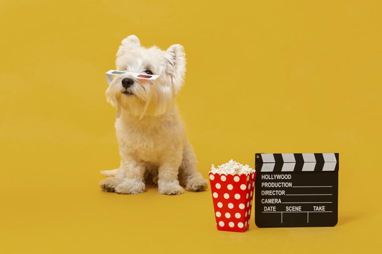 10 филма с кучета, които ще стоплят сърцето ви