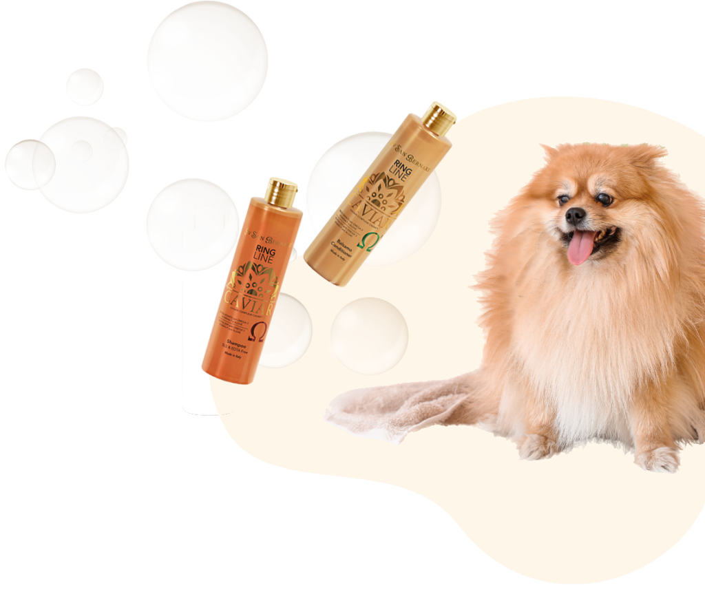 dog bubbles 2