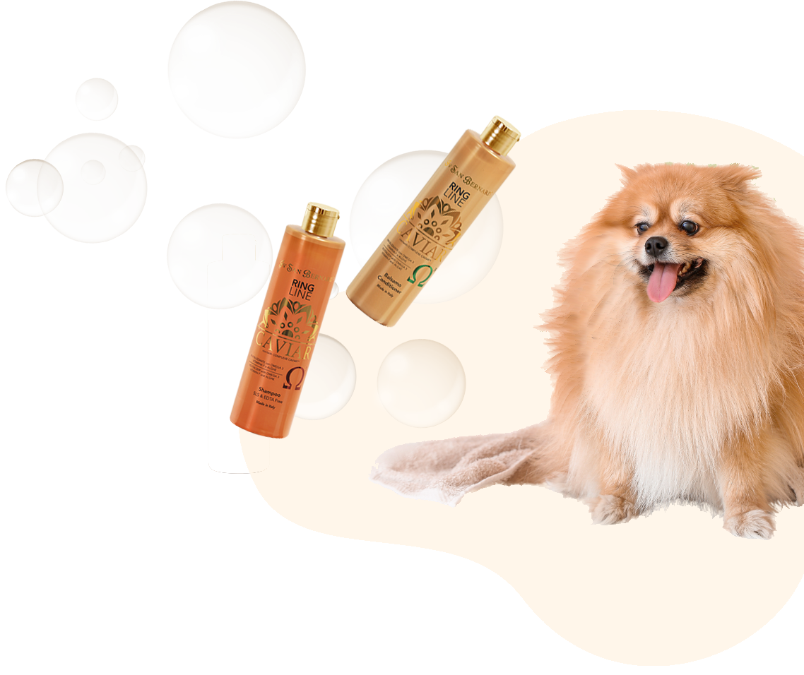dog bubbles 2