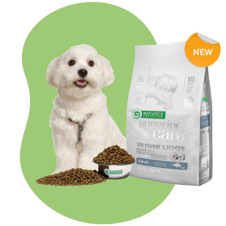 dogfood4