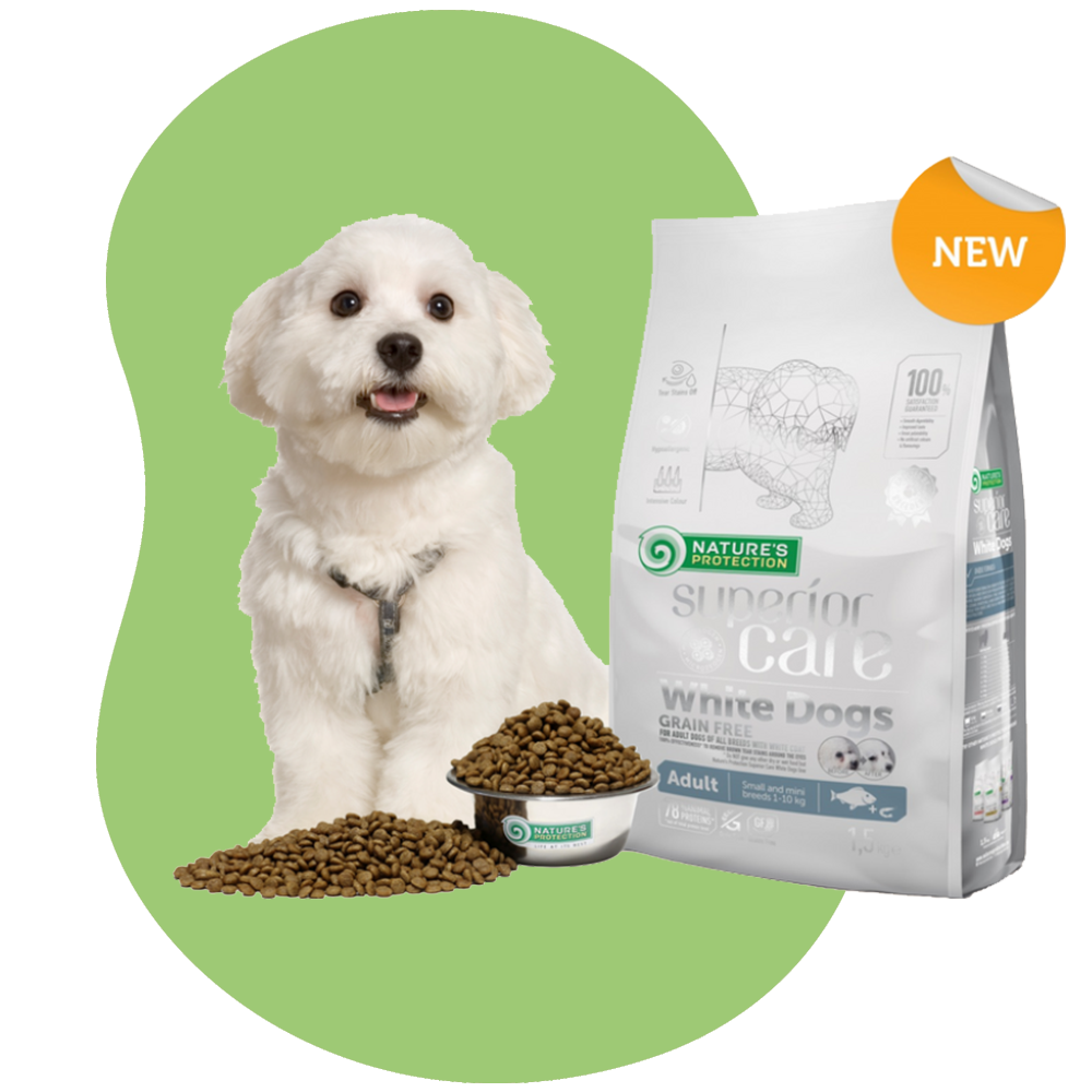 dogfood4