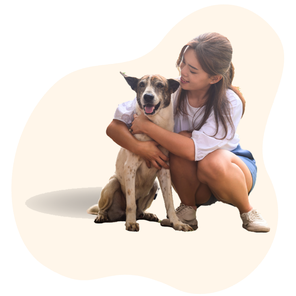 girl dog sq4