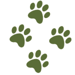 paws